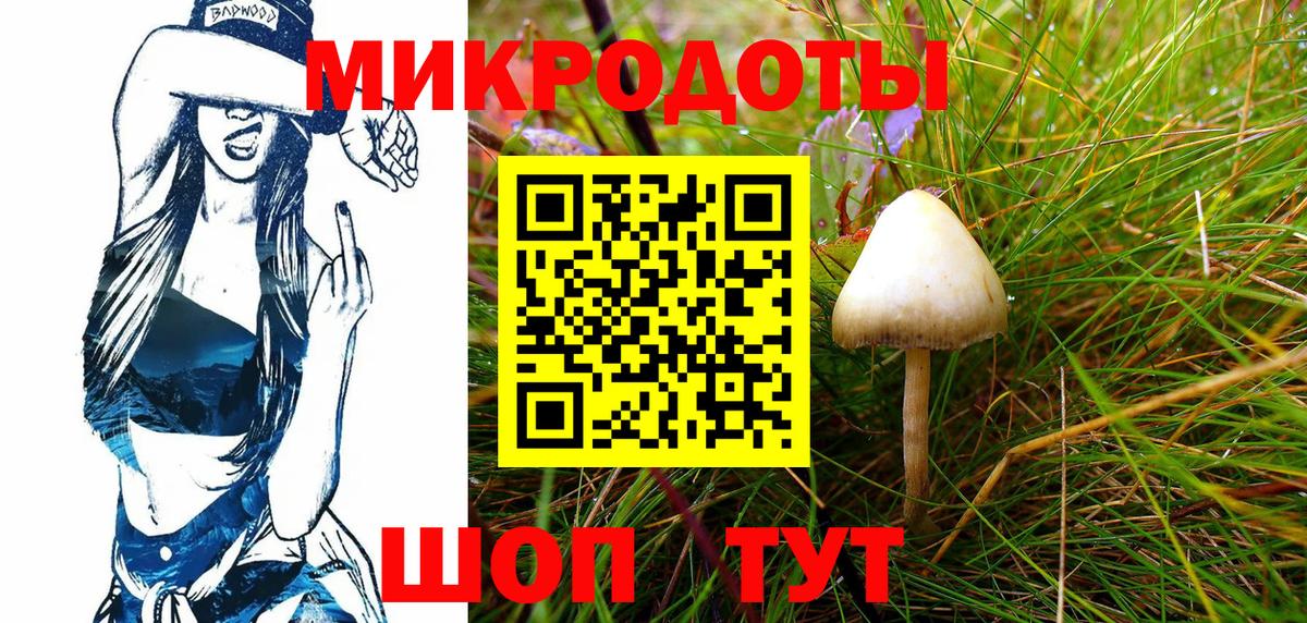 Галлюциногенные грибы MAGIC MUSHROOMS  Вход с VPN  Калининград 